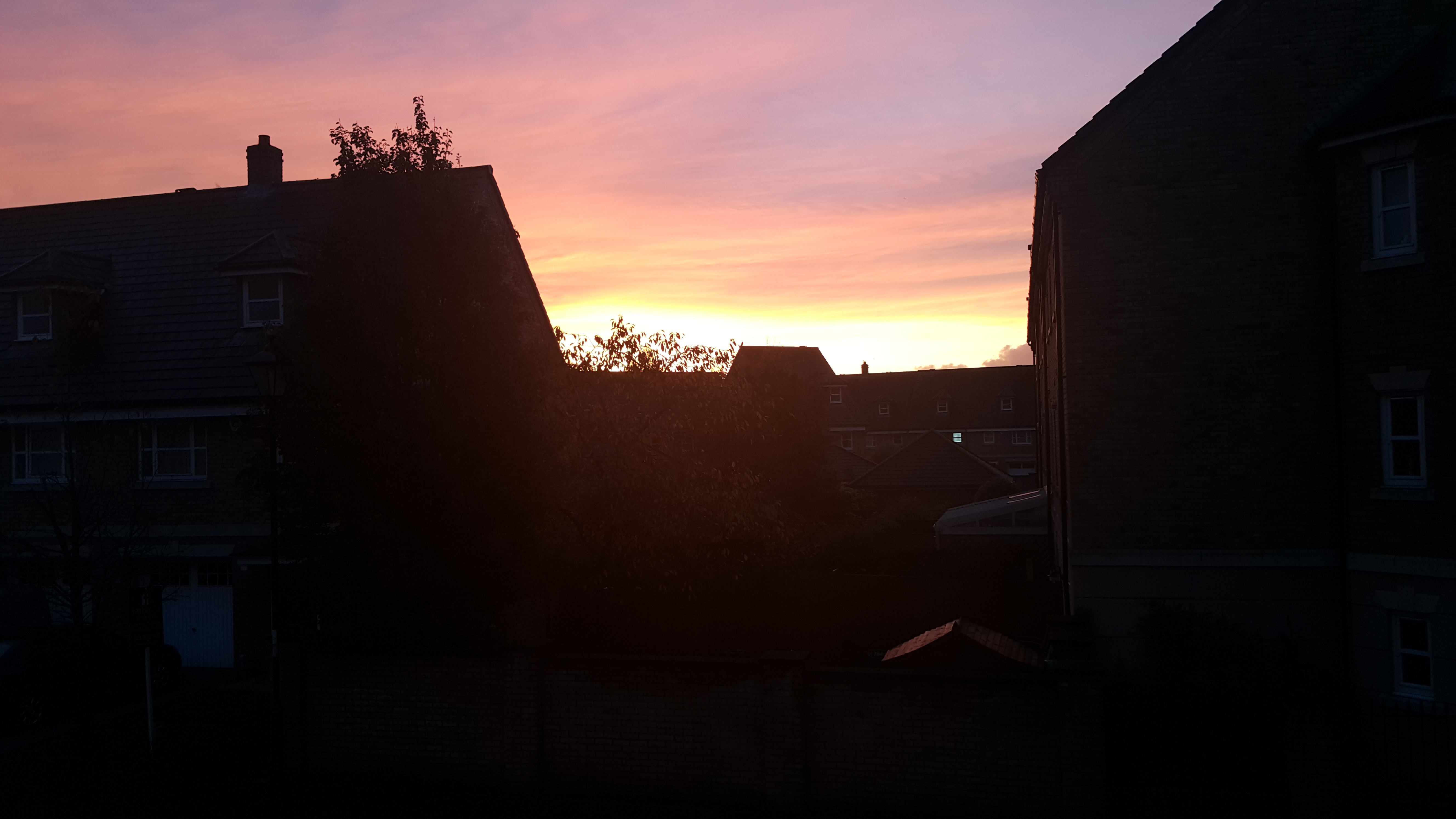 2015-11-09 06.57.33.jpg