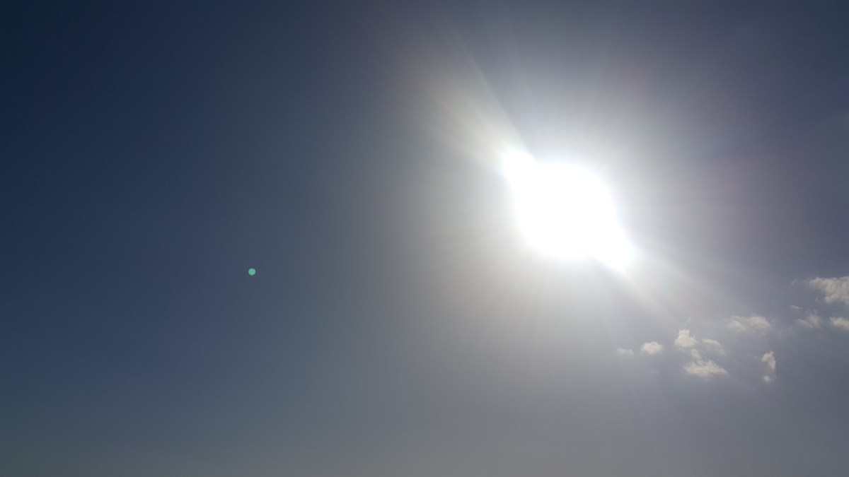 A day of reflection…