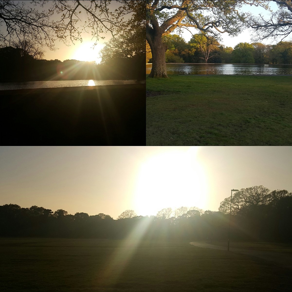 Last two weeks, one word&nbsp;MENTAL!