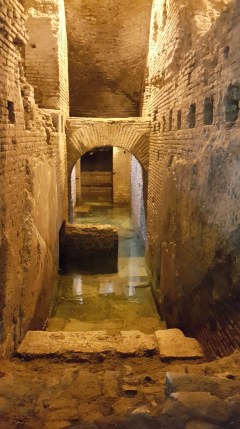 Cremonini Area Archeologica