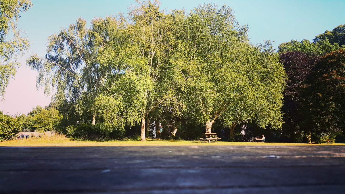 July the 16th, the Tuesday before. Divine&nbsp;Intervention