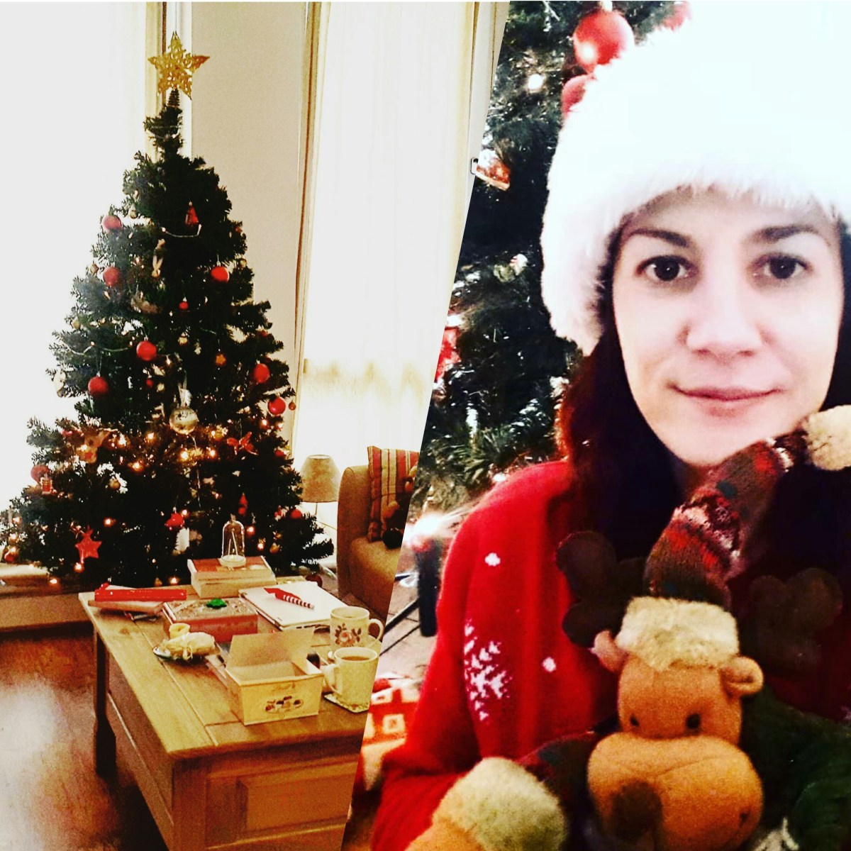 Blogmas day 9- The Christmas&nbsp;Tree