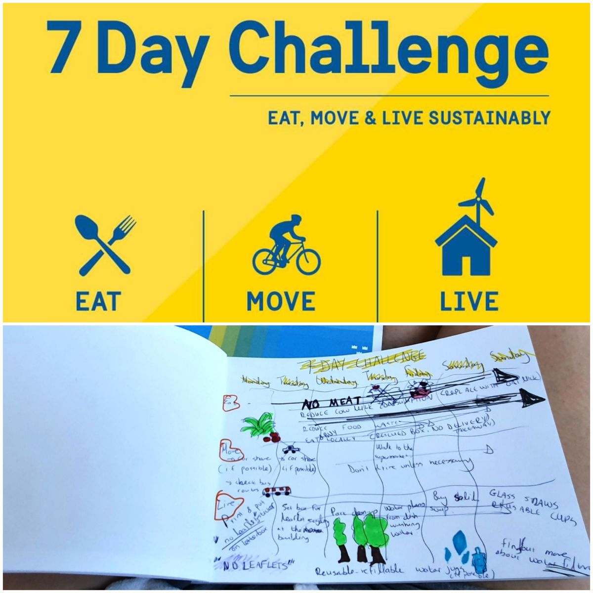 Eat, Move, Live Sustainably- 7 Day&nbsp;challenge